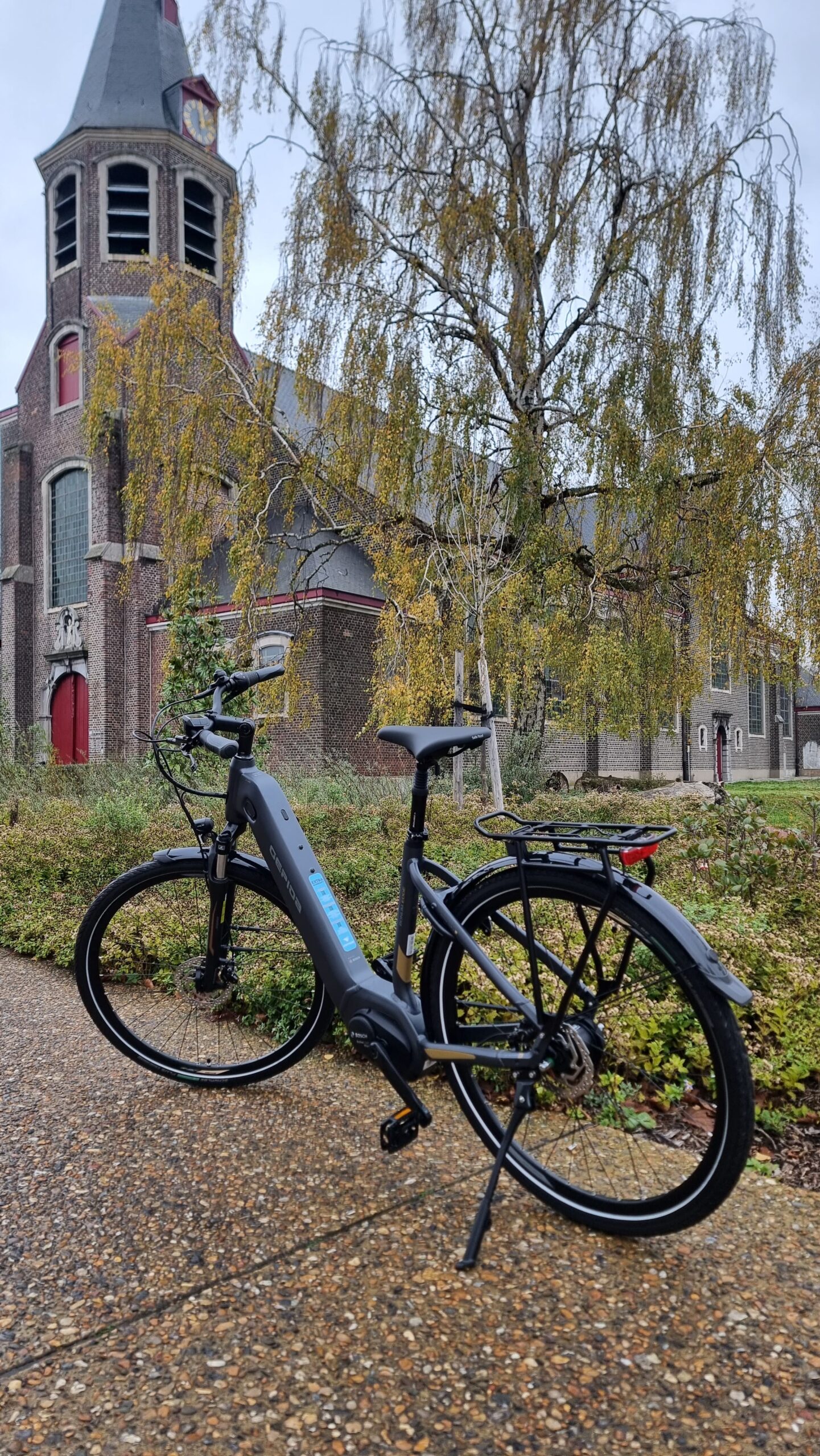 Gepida Bonum Edge PRO (Bosch Active Line) - Afbeelding 2